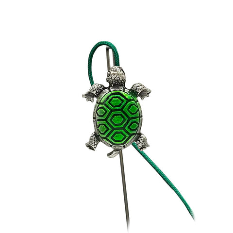 (02010) Bookflip's Turtle